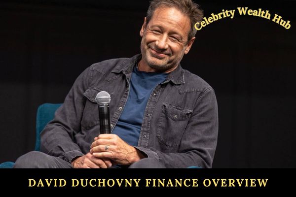 David Duchovny Finance Overview