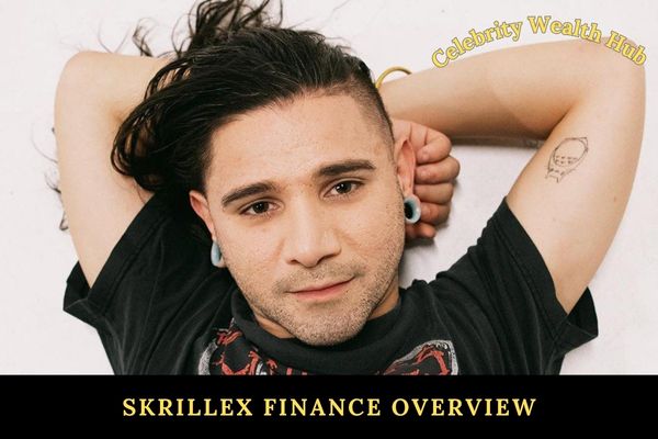 Skrillex Finance Overview