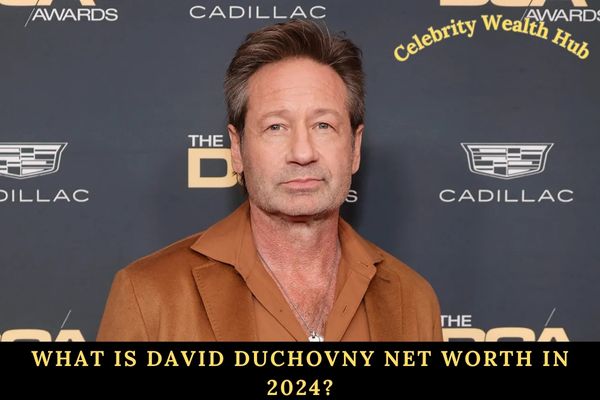 What Is David Duchovny Net Worth in 2024